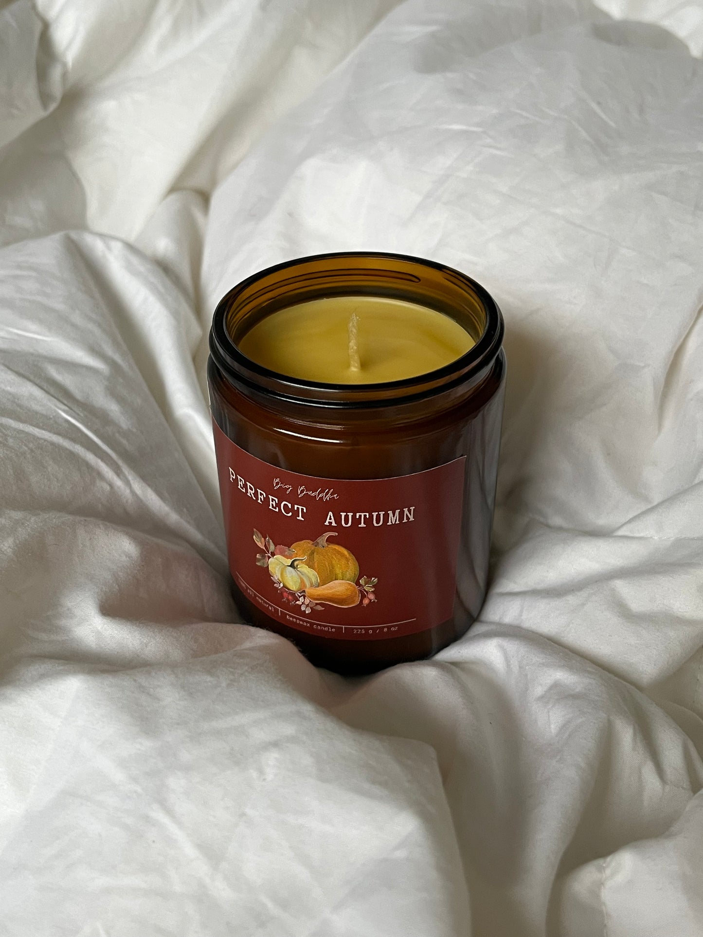 Perfect Autumn 8oz Fall Collection Candle