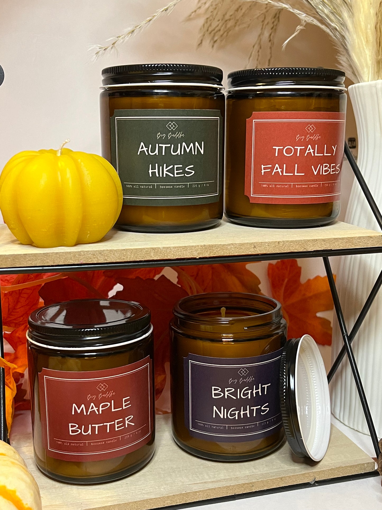 Fall Collection Set