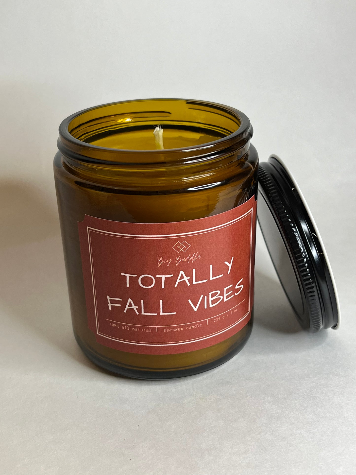 Totally Fall Vibes 8oz Fall Collection Candle
