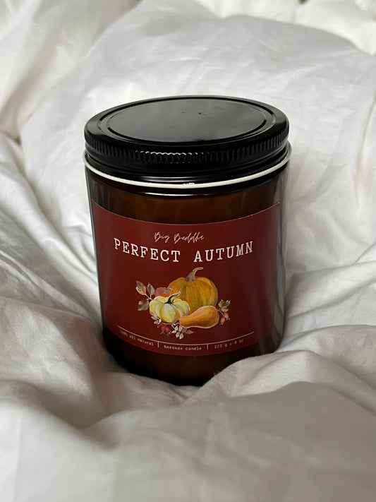 Perfect Autumn 8oz Fall Collection Candle
