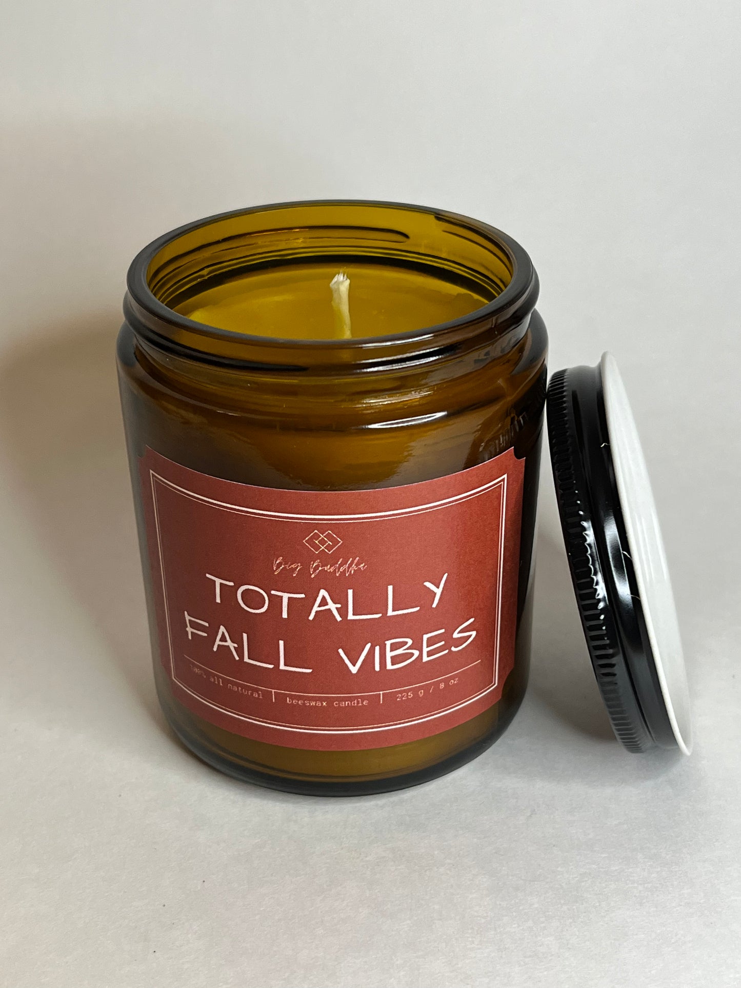 Totally Fall Vibes 8oz Fall Collection Candle