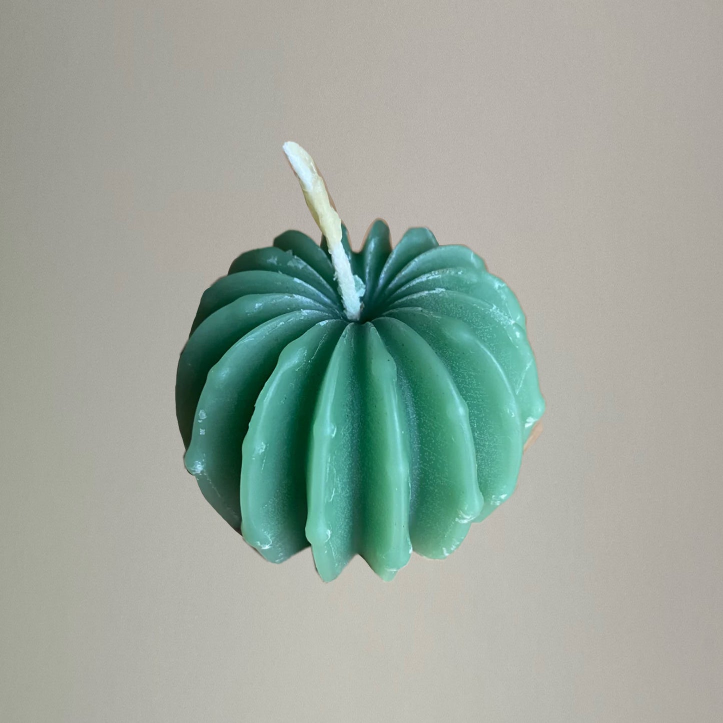 Succulent candle