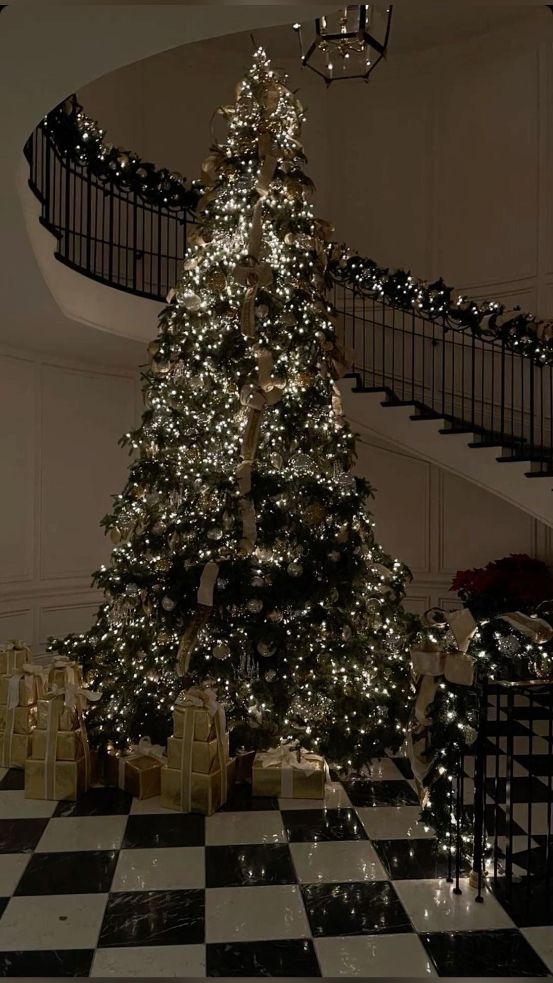 Holiday collection