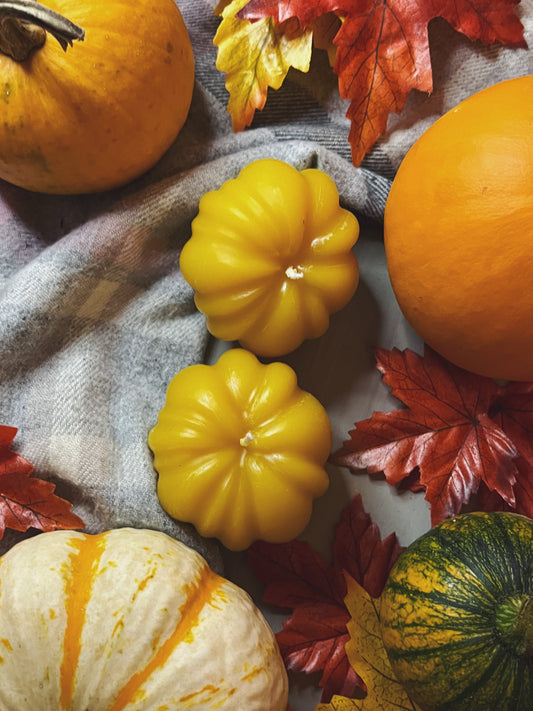 Fall Pumpkin Beeswax Candle