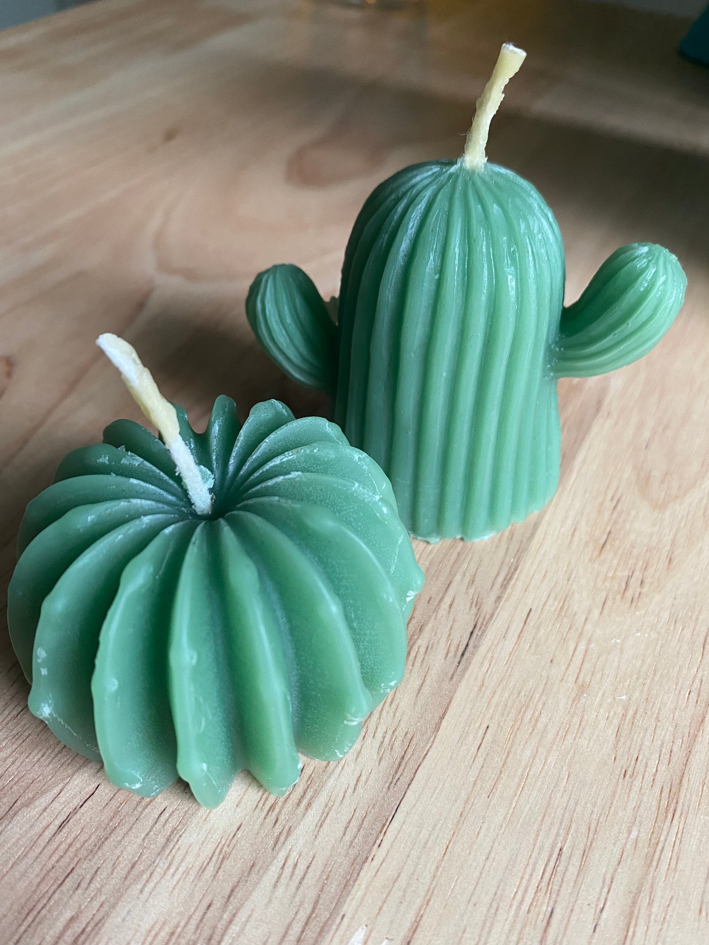 Cactus & Succulent duo candle set