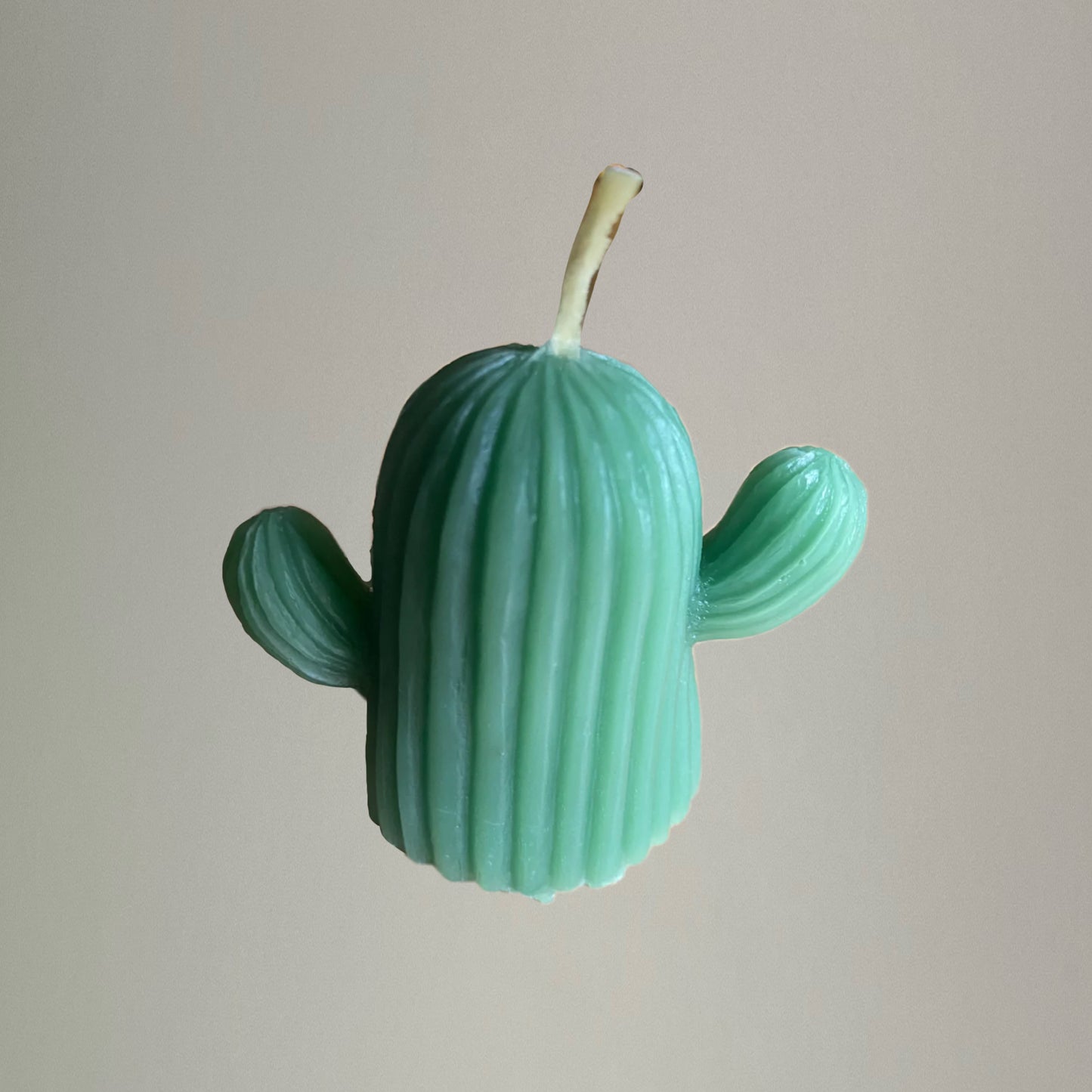 Cactus candle